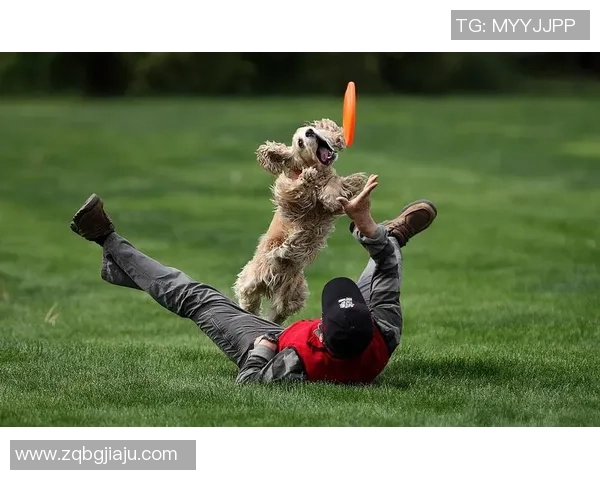 2013全北现代对决历史强队回顾与精彩瞬间分析 2013全北现代对决历史强队回顾与精彩瞬间分析